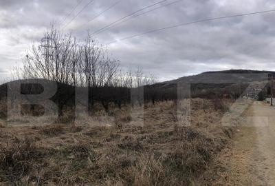 Teren intravilan, 3278mp, Viforata - 1