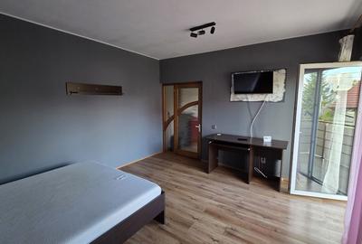 Garsonieră decomandată în Dosu Bricii - 2