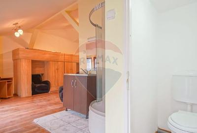 Apartament cu 2 camere decomandat, mobilat în Central - 12