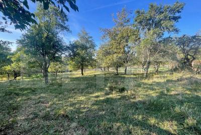 Casa de vanzare, 70 mp , teren de 3000 mp , Cacova Ierii - 1