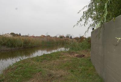 REV0002800 Vila de vanzare cu vedere la lac Laguna Albastra Corbeanca - 39