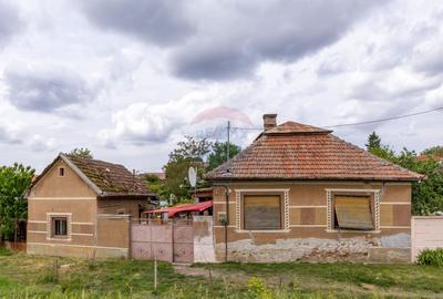Casă individuală cu 3 camere în Central