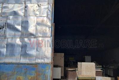 Depozit și hală industrială de vânzare – Orțișoara, complex industrial Avicola - 13