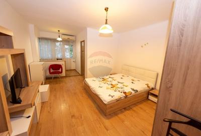 Garsoniera de inchiriat, 30mp,  zona Bld Ion Mihalache Garsoniera de inchiriat, 30mp,  zona Bld Ion Mihalache - 2