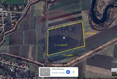 Teren Investitii 8600 mp | Zona Tetarom III Rascruci - 2