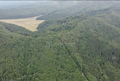 Teren 7 ha, Lac Vidraru, Podis Molivis - 1