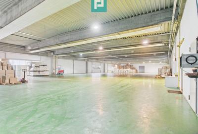 Hală industrială de 4.155 mp Calea Borșului - 8