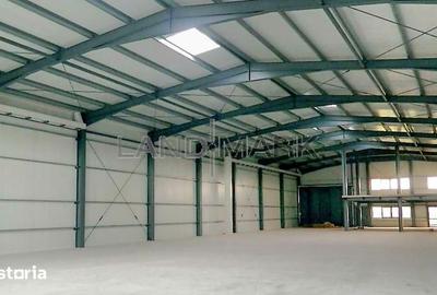 Spațiu comercial, de 1,000 mp, în Sânandrei - 3
