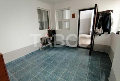 Spatiu comercial pe 2 niveluri cu vad 440 utili zona Terezian Sibiu - 10