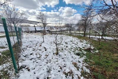 Casa + curte + gradina - 3