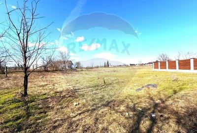 Teren Construcții intravilan de 921 mp, în Gherăiești - 4