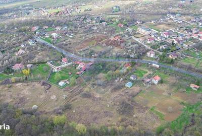 Spațiu comercial, în Păun - 5