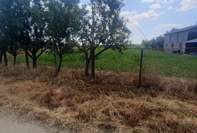 0% COMISION - TEREN GENEROS 5000 MP  GOLESTI - ARGES 0% COMISION - TEREN GENEROS 5000 MP  GOLESTI - ARGES - 2