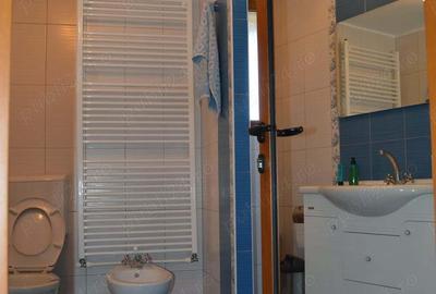 Casa P+M Independenta ENERGETIC - 19