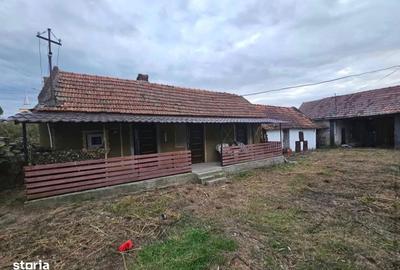 Casă cu 4 camere cu Teren 4500 Mp în Bâlc - 2