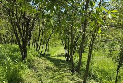 Teren de 3513 mp, în Vișinești - 5