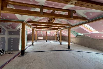 Vanzare cladire individuala cu garaj si curte - Herastrau - 11