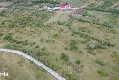 Teren de 8043 mp, în Berevoești - 7