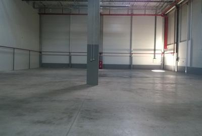 Depozitare logistica hala industriala arhiva farmaceutic anvelope autorizat PSI - 5