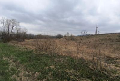 Teren Construcții extravilan de 12400 mp, în Pătrăuți - 5