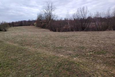 Teren de 4000 mp, în Șinca - 2