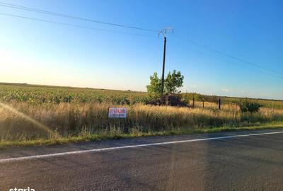 Spațiu comercial, în Nojorid