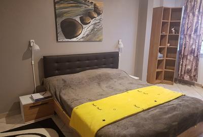 Apartament doua camere, deco, mobilat utilat frumos, Parcul Catedralei - 29