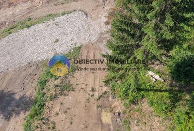 Teren cu o locatie de vis in Pangarati 53 m deschidere la strada - 17