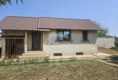 Casa cu teren 1200 mp situata in Localitatea Mihai Kogalniceanu - 2