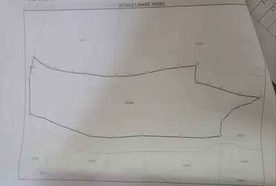 Teren de 5976 mp, în Moisei