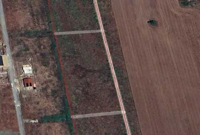 Spațiu comercial, în Săcălaz - 3