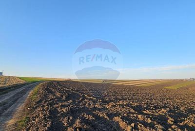 Teren extravilan 30077mp Stroiesti / Soseaua DN17, Suceava - 5