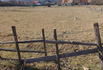 Spațiu comercial, în Mihăești - 4