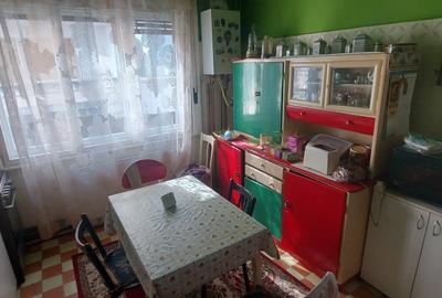 Casa 170 mp constuiti + 325 mp teren+ garaj - 5