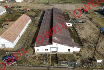 Spațiu industrial, în Dalnic - 2