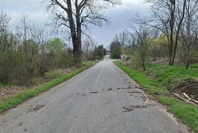 Teren de 726 mp, în Sinești - 1