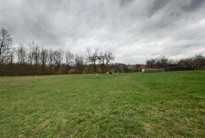 Teren intravilan de 9370 mp, în Țebea - 5