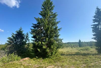 Teren Belis 1000mp - 10