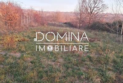 Teren Construcții intravilan de 3100 mp, în Novaci - 9