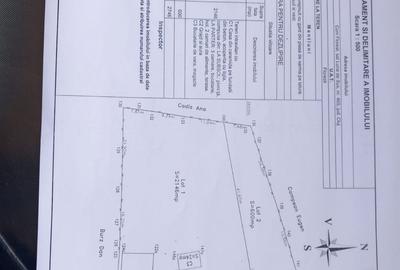 Spațiu comercial, în Luna - 1