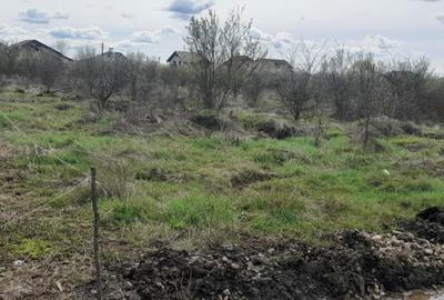 Spațiu comercial, în Central - 1