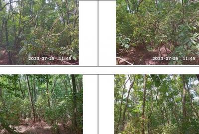 Teren extravilan padure, cota parte de 1/48 Horgesti, ID:... - 7