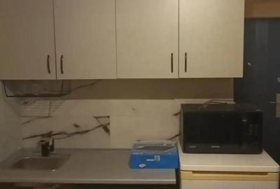 Inchiriez garsoniera in Zona Dacia, suprafata utila de 12 mp, parter. - 2