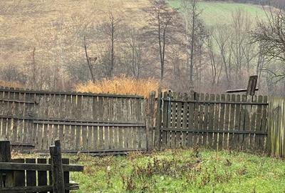 Casa batraneasca de vanzare - 1
