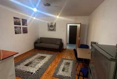 Apartament cu 1 cameră,decomandat, PET FRIENDLY, zona Podu de Piatra - 2