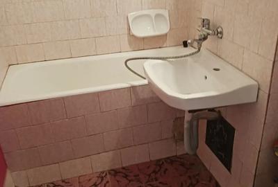 Garsoniera mare, Nufarul - 4