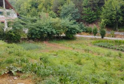 Casă cu Teren 3765 Mp în Mănăstire - 1