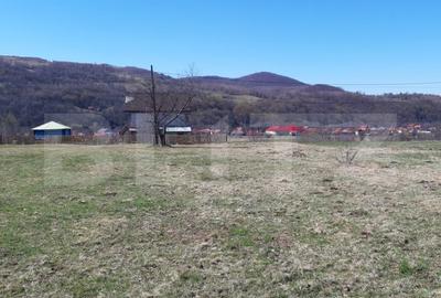 Teren de 901 mp, în Poieni - 2