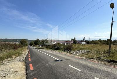 Constructie 3707 mp + Teren intravilan 8828 mp Sibiu /Selimbar - 5