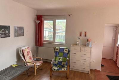 Casă cu 3 camere în Feiurdeni - 3